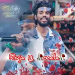 Roja Poo Mala Song Poster